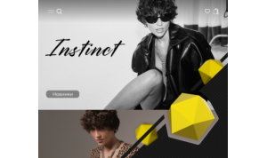 Search engine optimization for an online women's clothing store