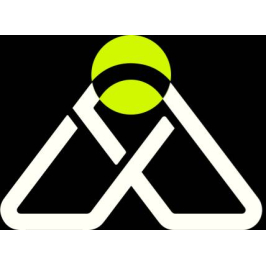 ASA Austin SEO Agency