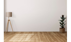 Parquet&Style - logo development