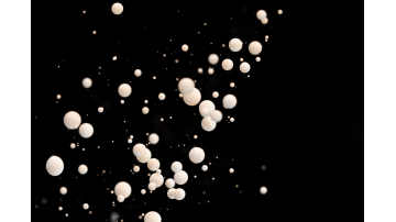 32 Pearls 