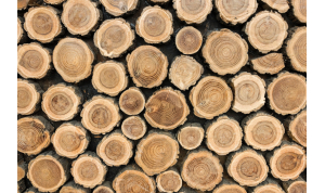 Parquet&Style - site development