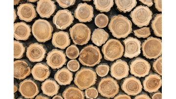 Parquet&Style - site development