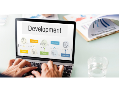 Website development