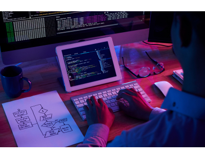Website development