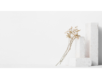 Website development