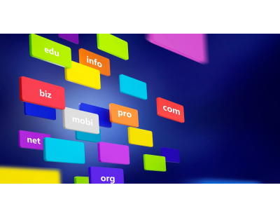 Website development