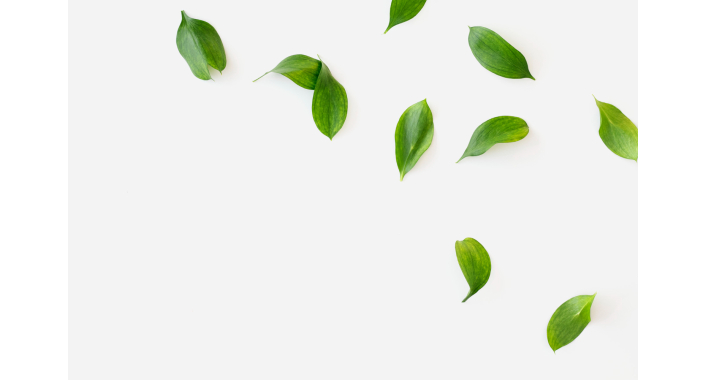 Green color and its shades on the site: in which niches is it better to use