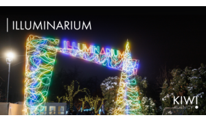 Case SMM for ILLUMINARIUM