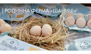 SMM case for farm «Shanychi»