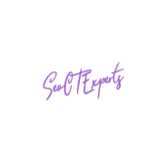 SEO CT Experts