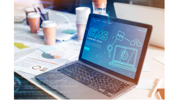 Why WordPress Is Still the Most Popular CMS