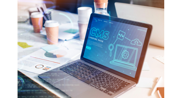 Why WordPress Is Still the Most Popular CMS