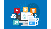 CMS for an Online Store: What to Consider Before Launch