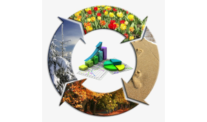 Seasonality as a factor in traffic and sales growth on the example of an e-commerce project