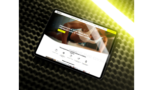 Portal: web application for personal gym coaches
