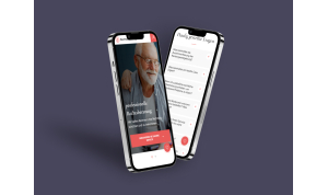 Development of legal services for the elderly in Germany