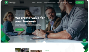 Website development for an IT service company