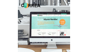Increasing traffic through optimization on the Correa online store