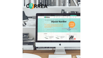 Increasing traffic through optimization on the Correa online store