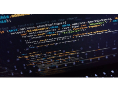 Website development