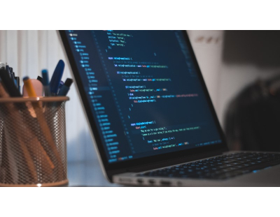 Website development