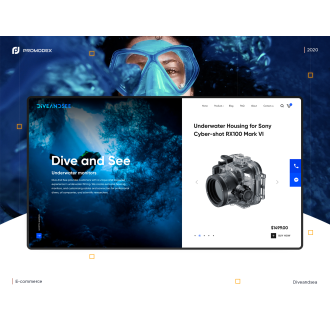 Dive and Sea