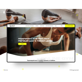 onlinegymproject.com