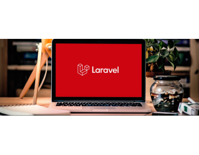 Website development