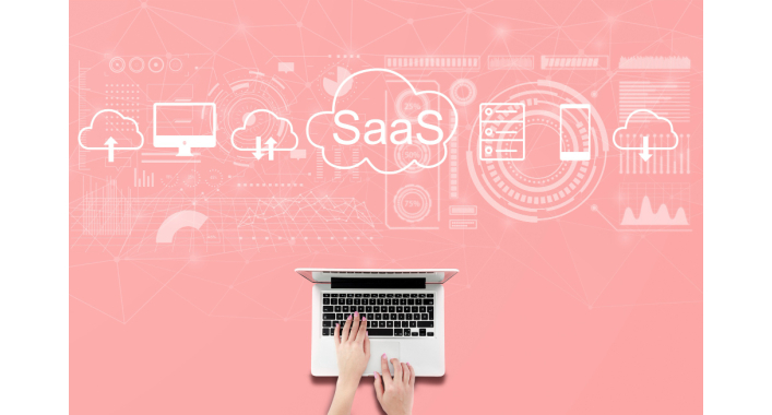 Top 10 SaaS Software Development Companies​ for Startups