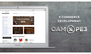 E-commerce website