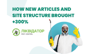 How new articles and site structure brought +300%