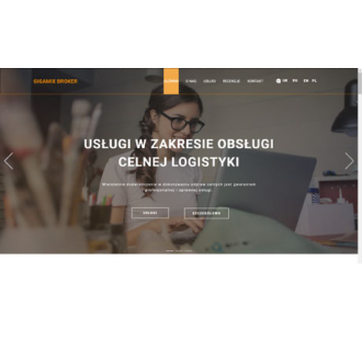 Landing page of the Polish logistics company Gigamix