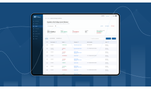Development of an Online Tool for Managing Business Finances