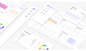 SaaS for End-to-End Analytics