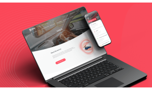 Insurance on a Smartphone: case Kraina