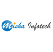 Misha Infotech Private Limited
