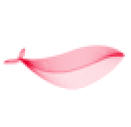 Whales Ventures