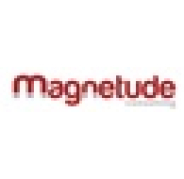 Magnetude Consulting