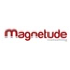 Magnetude Consulting