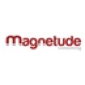 Magnetude Consulting