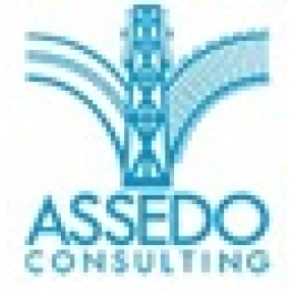 Assedo Consulting