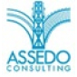 Assedo Consulting