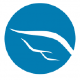Blue Agility