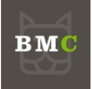 Bronson Ma Creative