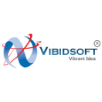 VIBIDSOFT
