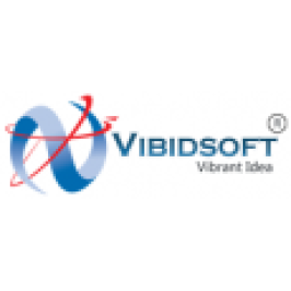VIBIDSOFT