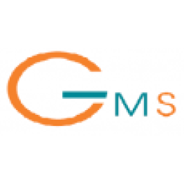 Global Mobility Services