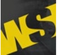 The Web Squad