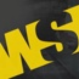 The Web Squad