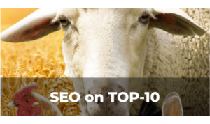 Case for seo-optimisation of the corporate website Konstanta company
